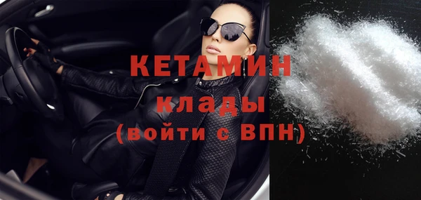 прущие грибы Елабуга
