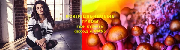 эйфоретик Елизово