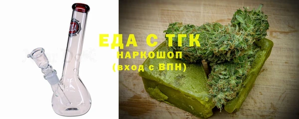 прущие грибы Елабуга