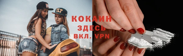 прущие грибы Елабуга