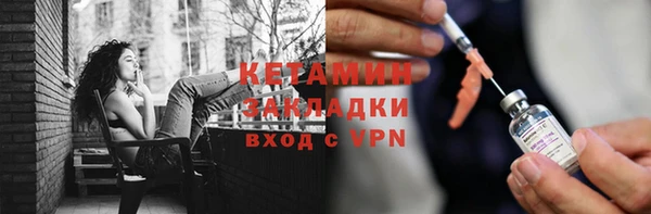 прущие грибы Елабуга