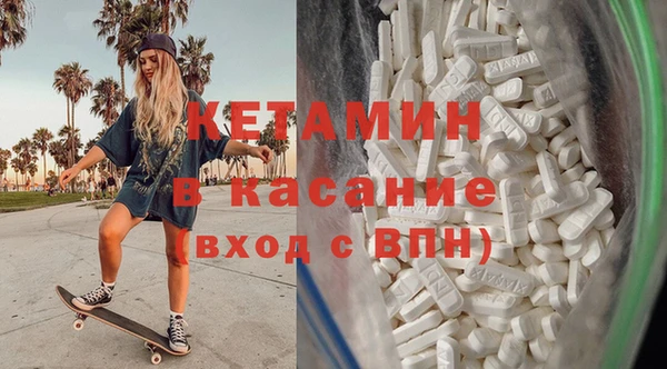 прущие грибы Елабуга