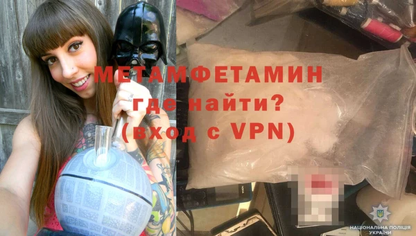 прущие грибы Елабуга
