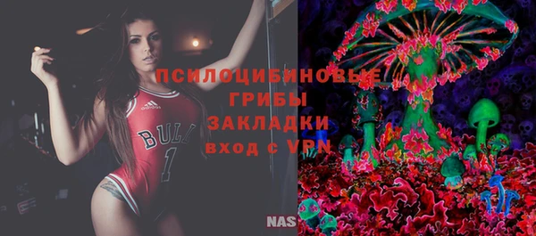 прущие грибы Елабуга