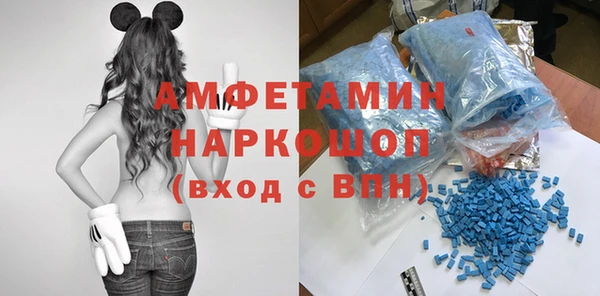прущие грибы Елабуга