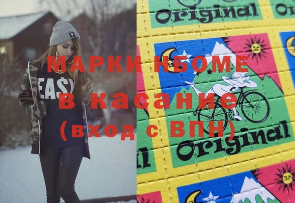 прущие грибы Елабуга