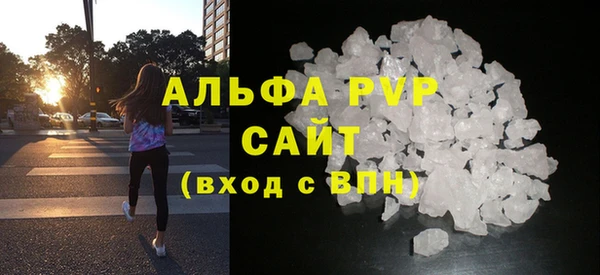 прущие грибы Елабуга